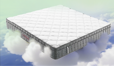 Metia Premium Plus Mattress